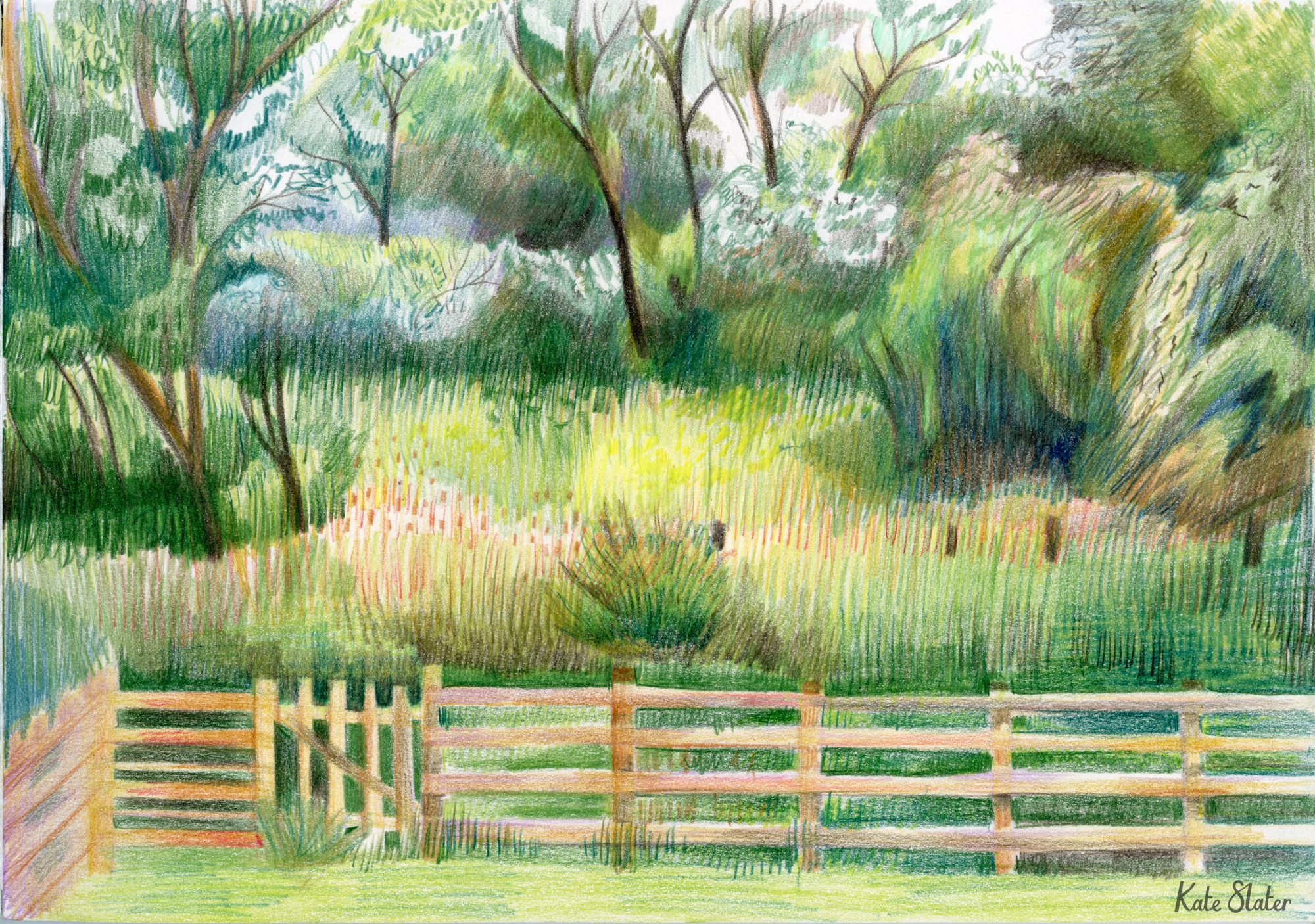 Sketchbook farm 1.jpeg