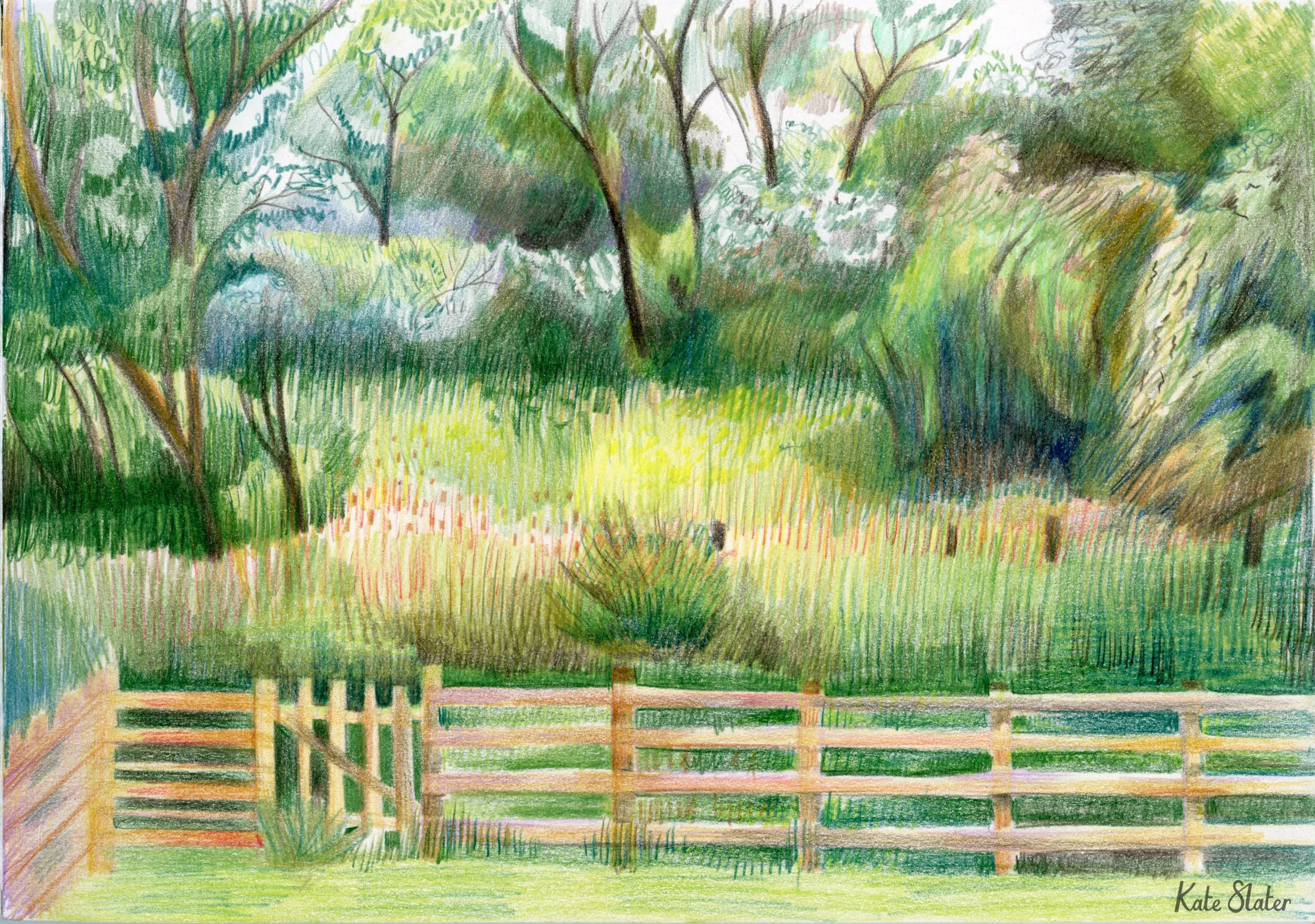 Sketchbook farm 1.jpeg