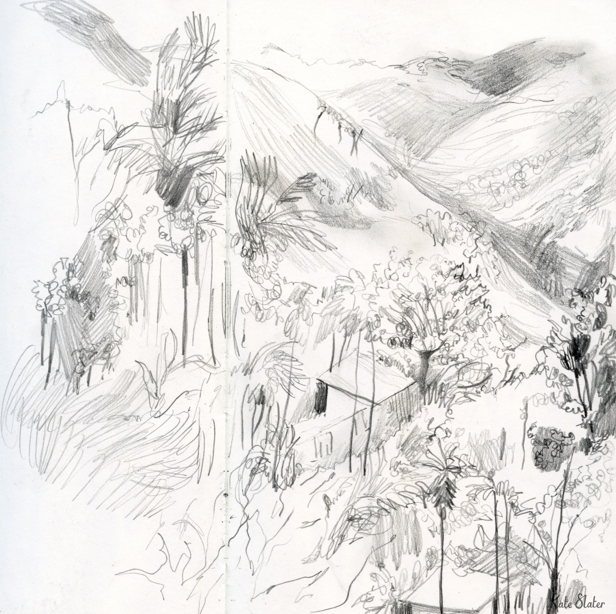 Sketchbook SL4.jpeg