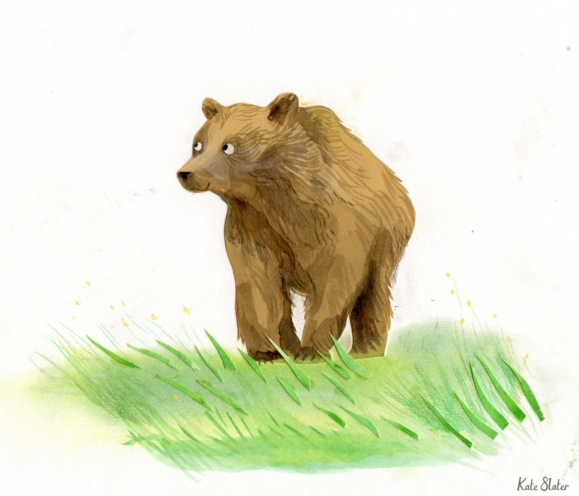 Sketchbook bears 1.jpeg