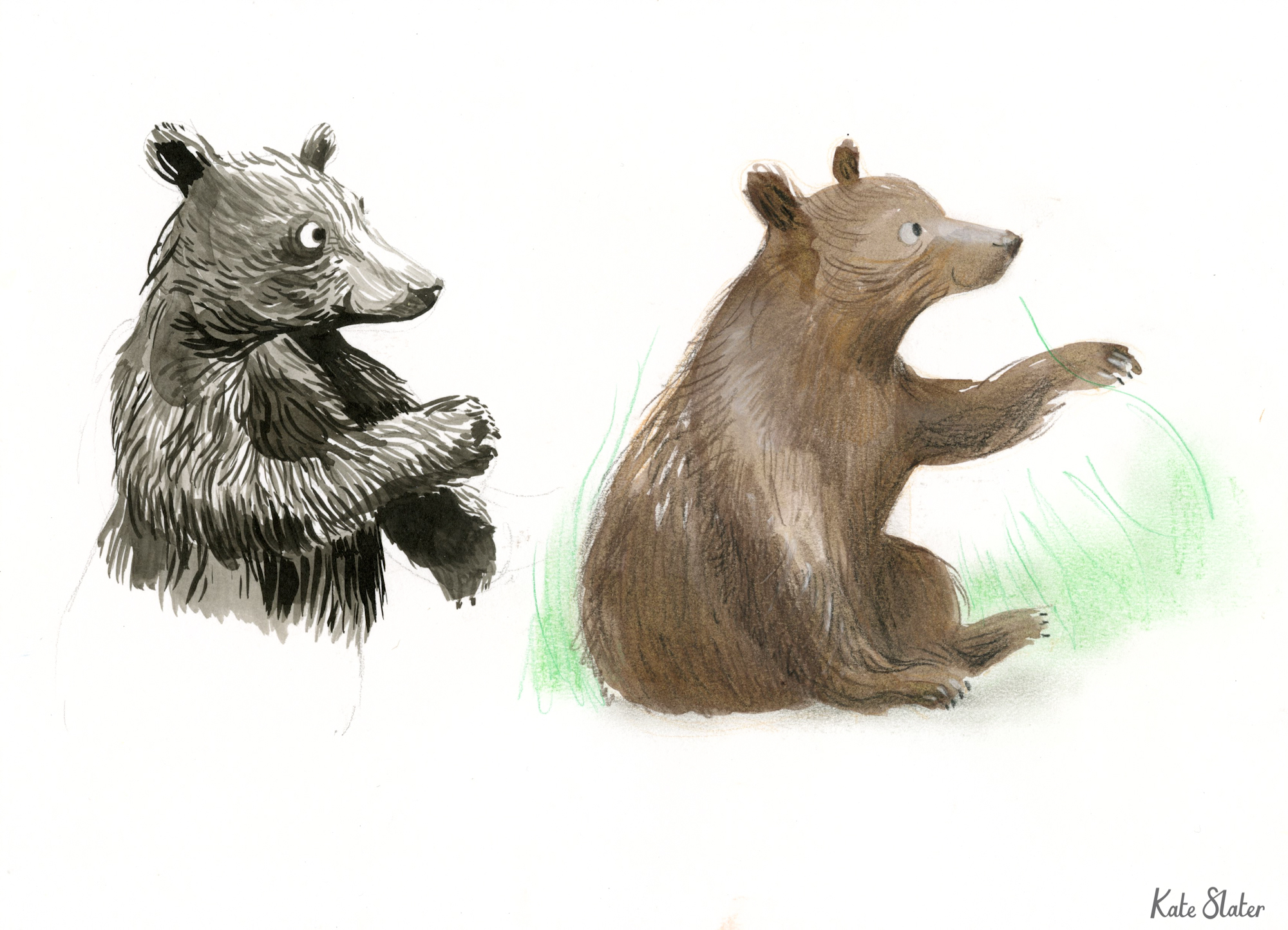 Sketchbook bears 2.jpeg