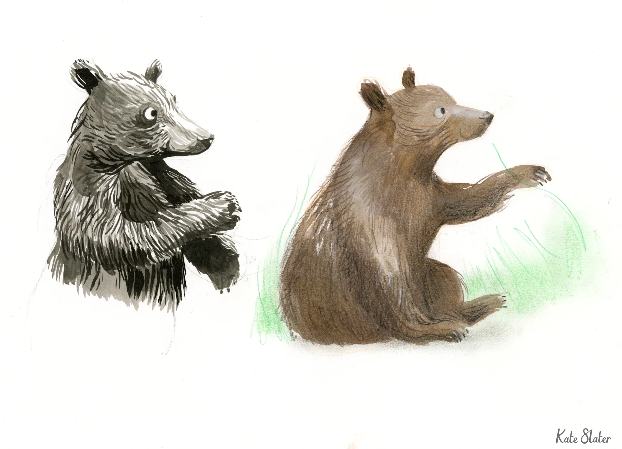 Sketchbook bears 2.jpeg