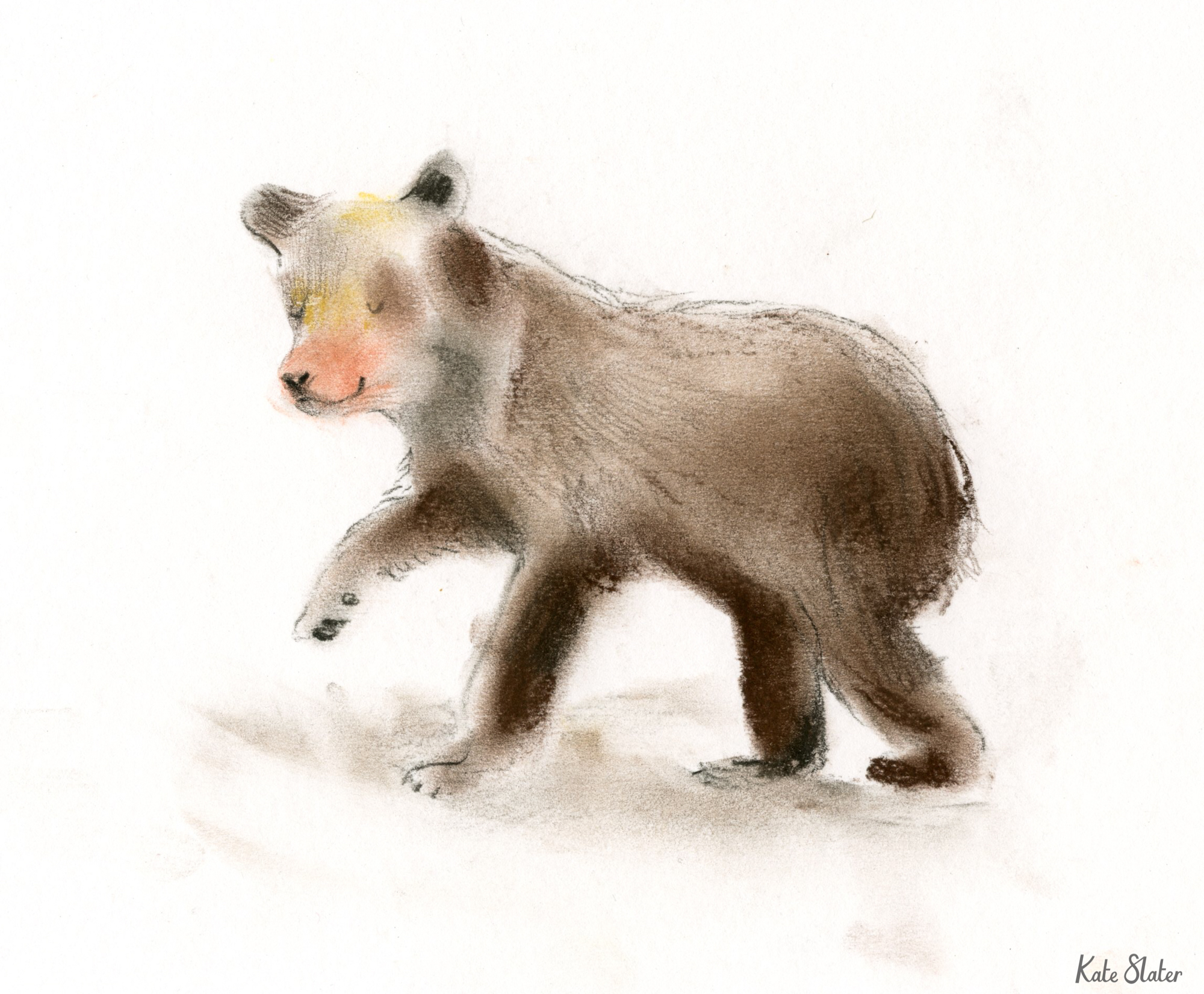 Sketchbook bears 4.jpeg