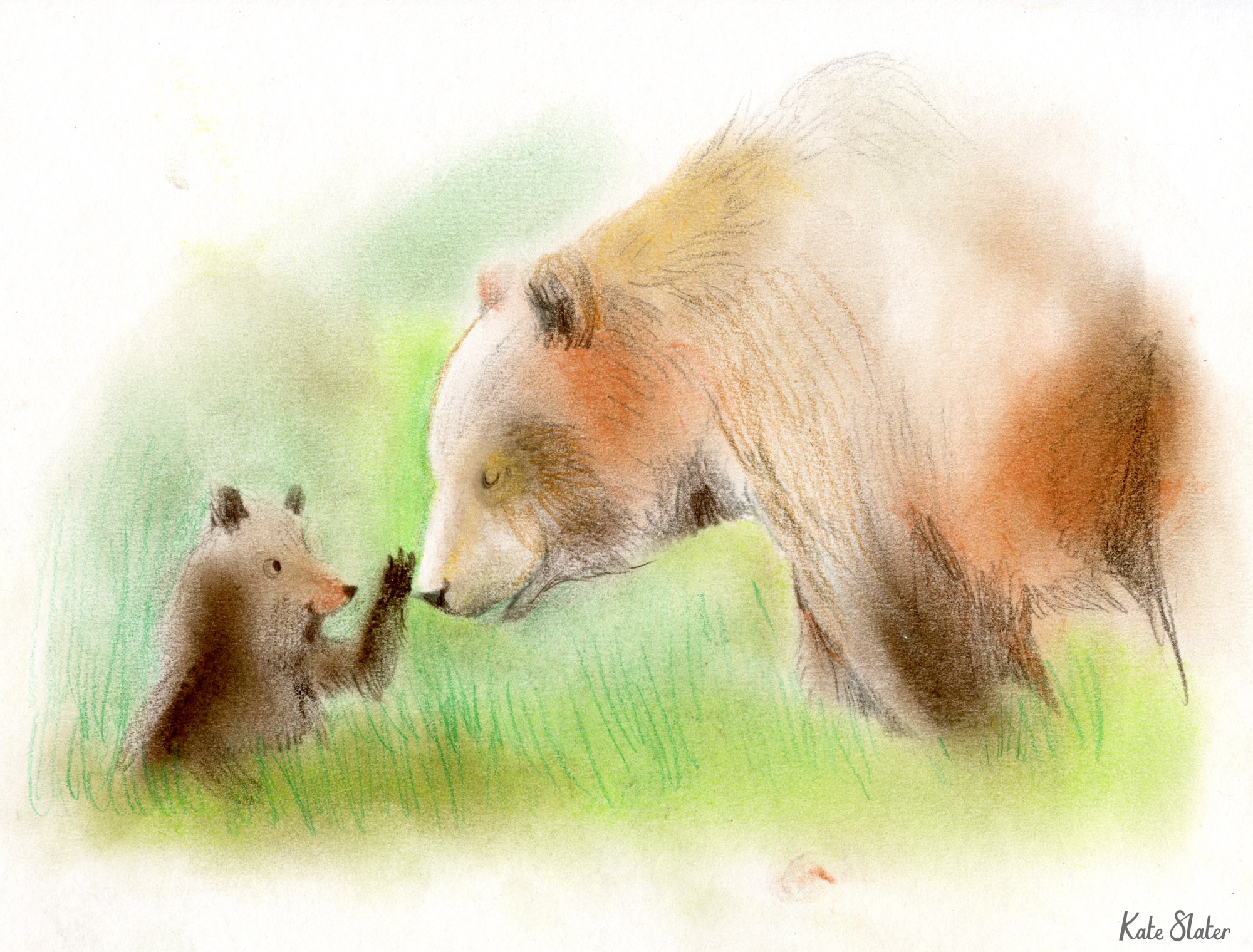 Sketchbook bears 7.jpeg