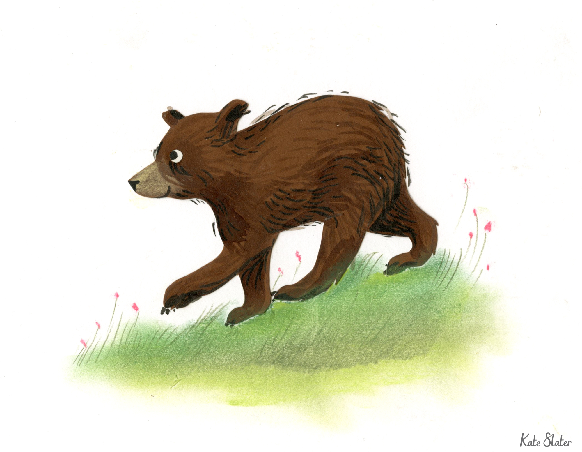 Sketchbook bears 9.jpeg