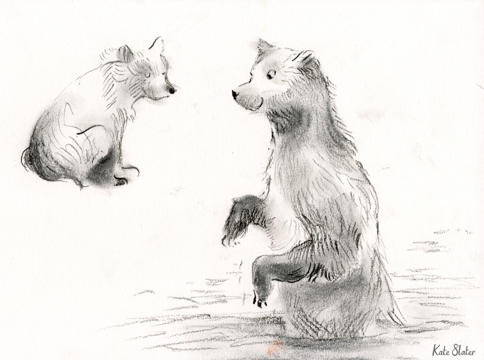 Sketchbook bears 12.jpeg