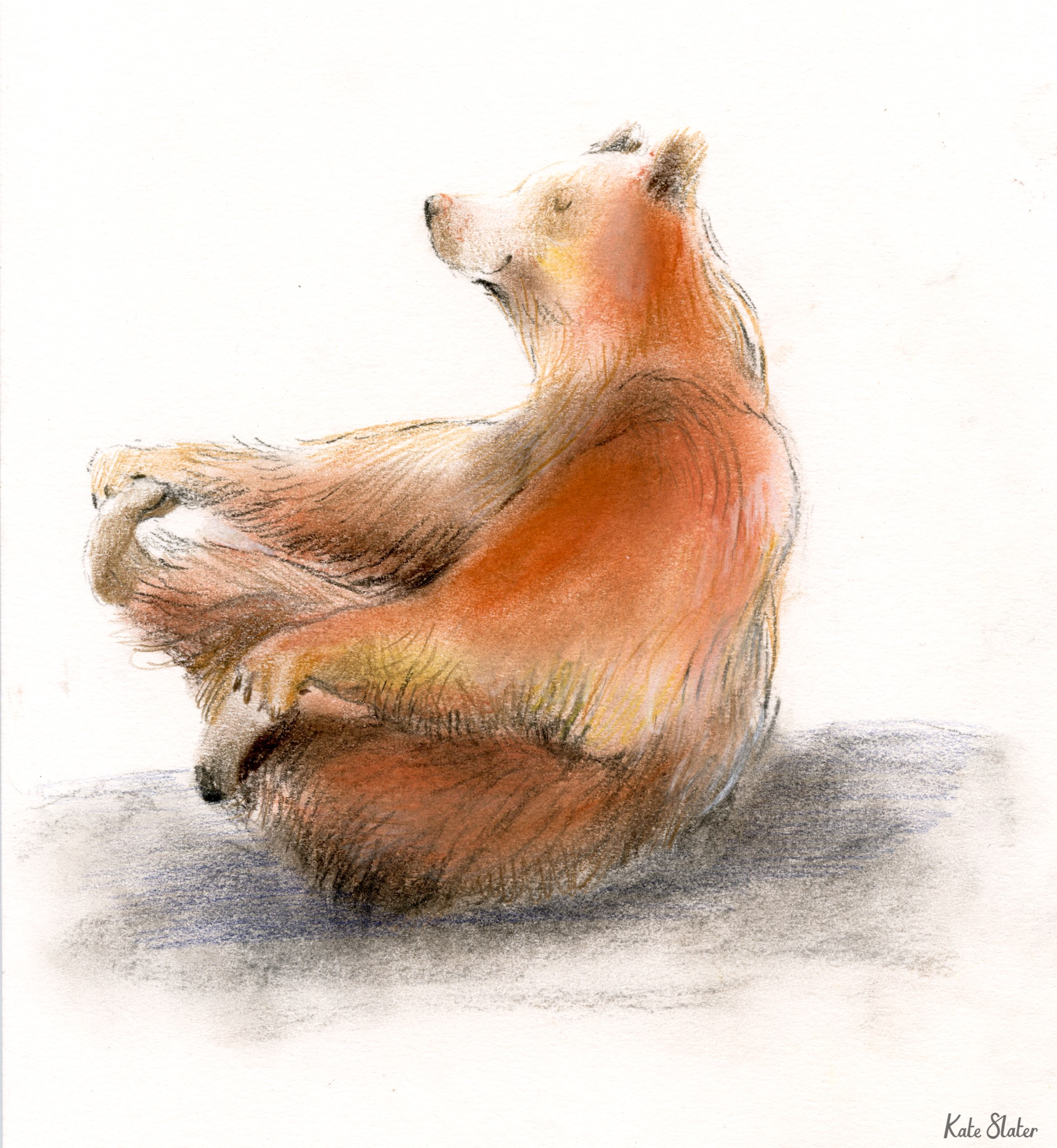 Sketchbook bears 13.jpeg