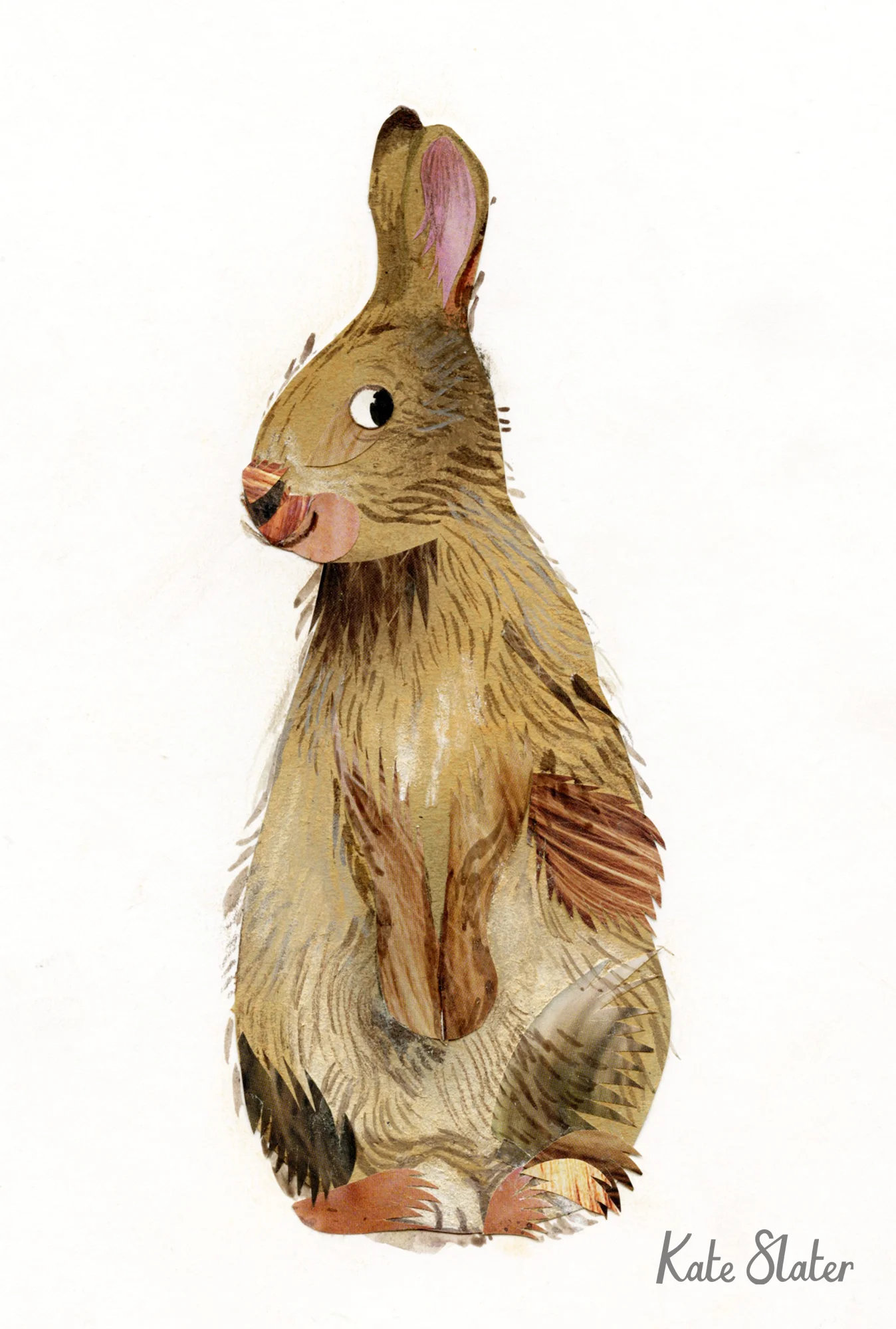 Rabbit