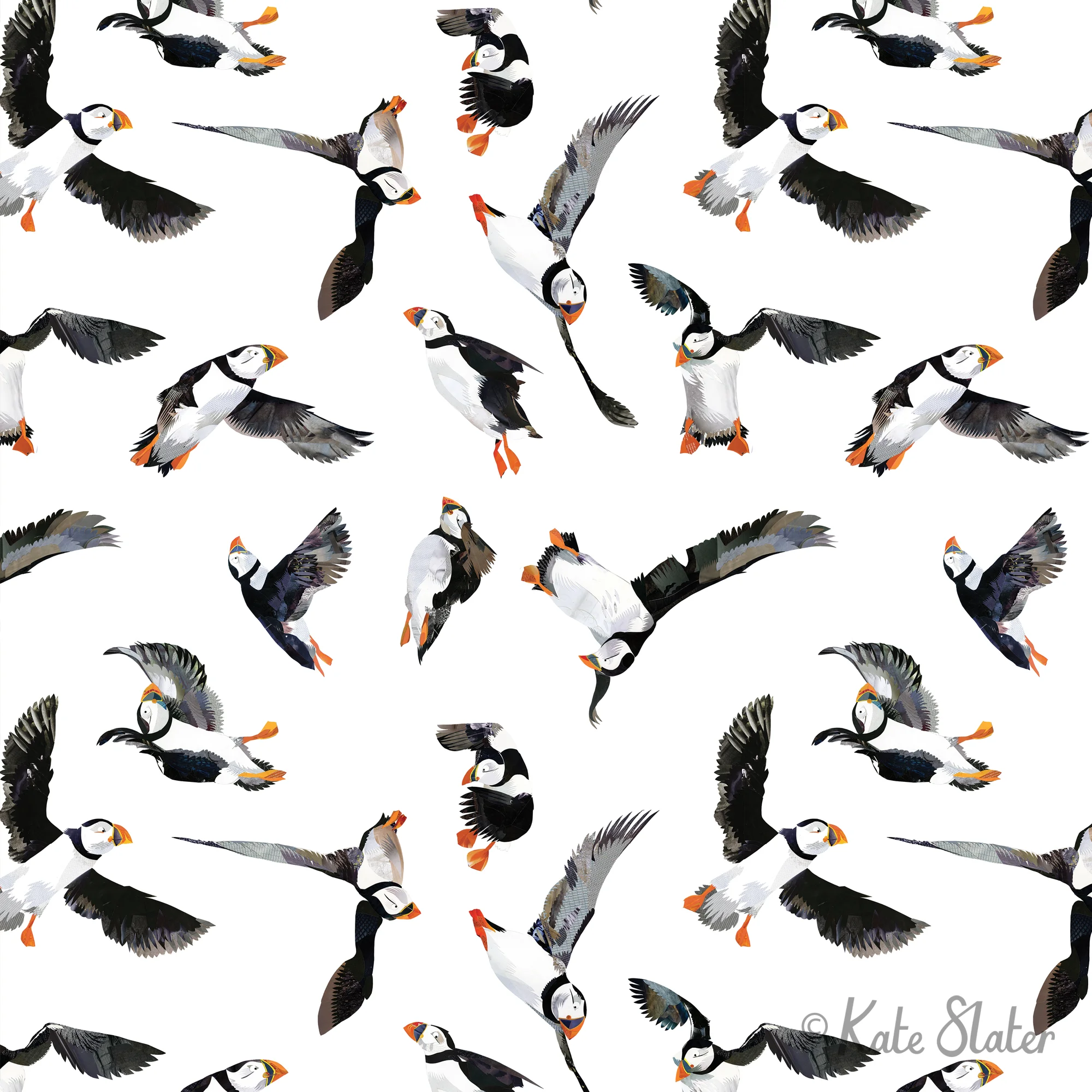 Puffin Parade © Kate Slater.jpg