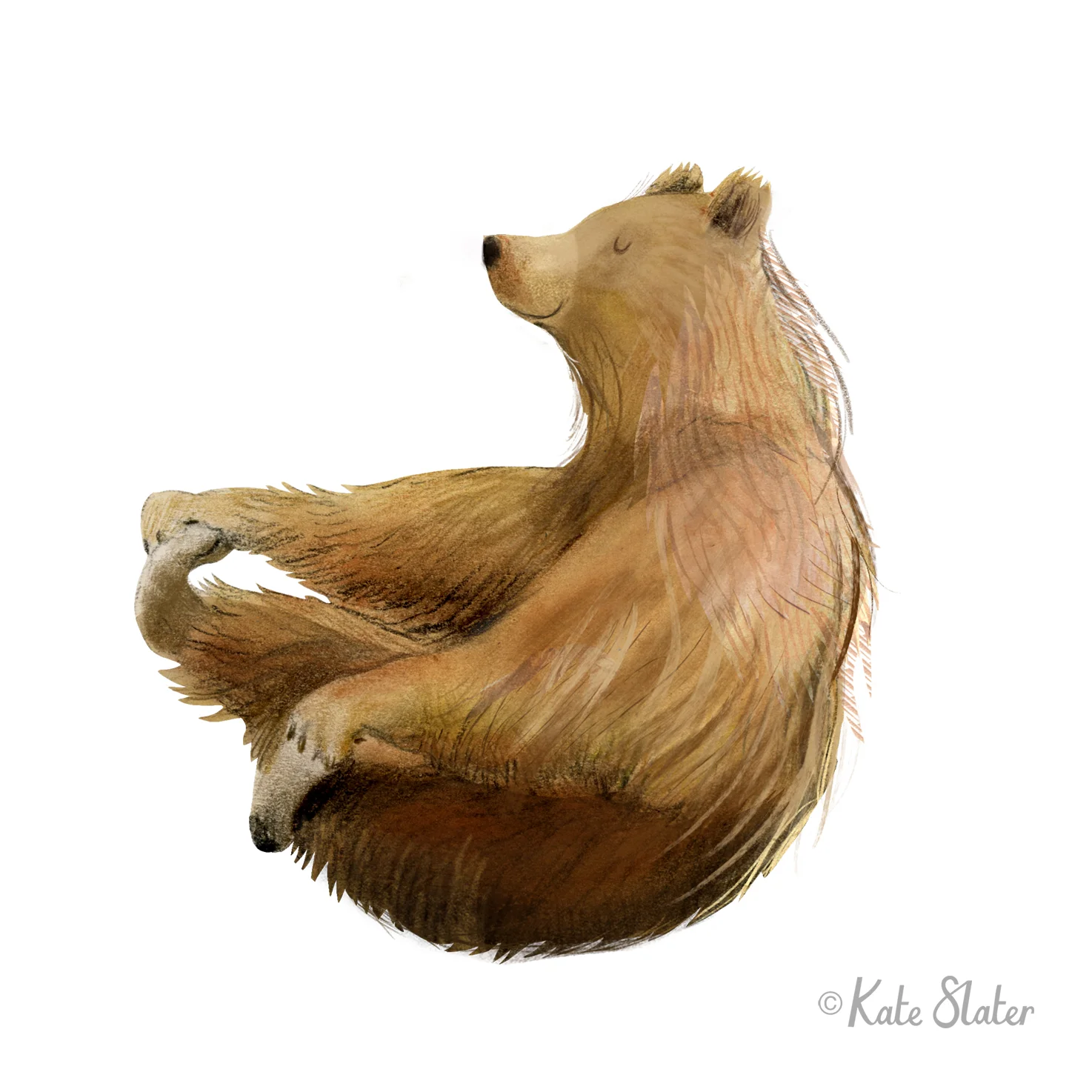 Yoga Bear