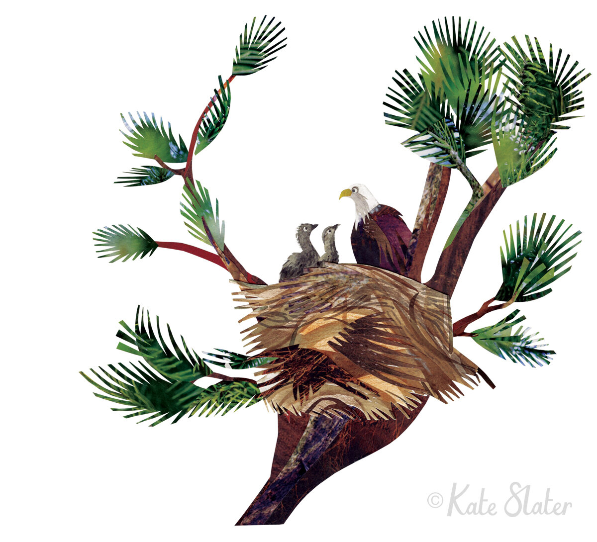 Nesting Bald Eagle - Make Your Own Birds of Prey (Arcturus Books, June 2020)