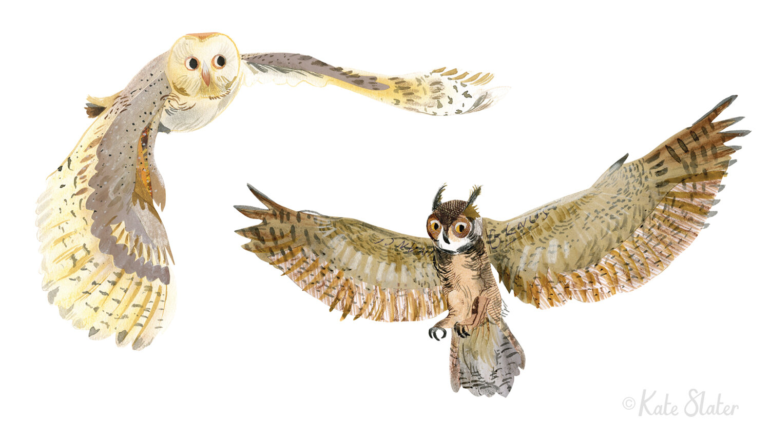 Barn Owl & Horned Owl - Make Your Own Birds of Prey (Arcturus Books, June 2020)