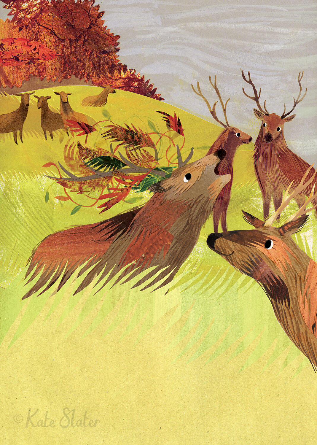 Stag's Roar 2 - RSPB Wild Times Magazine