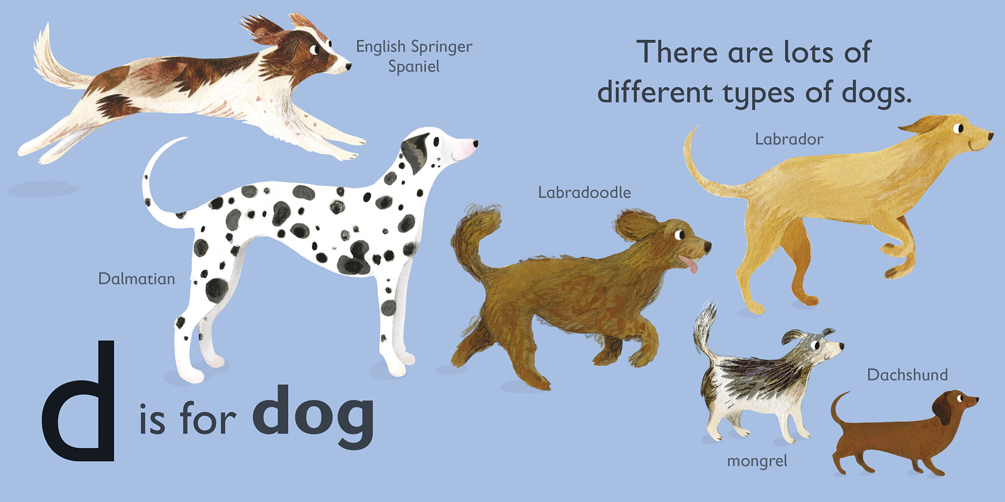 D is for Dog (DK, September 2020)