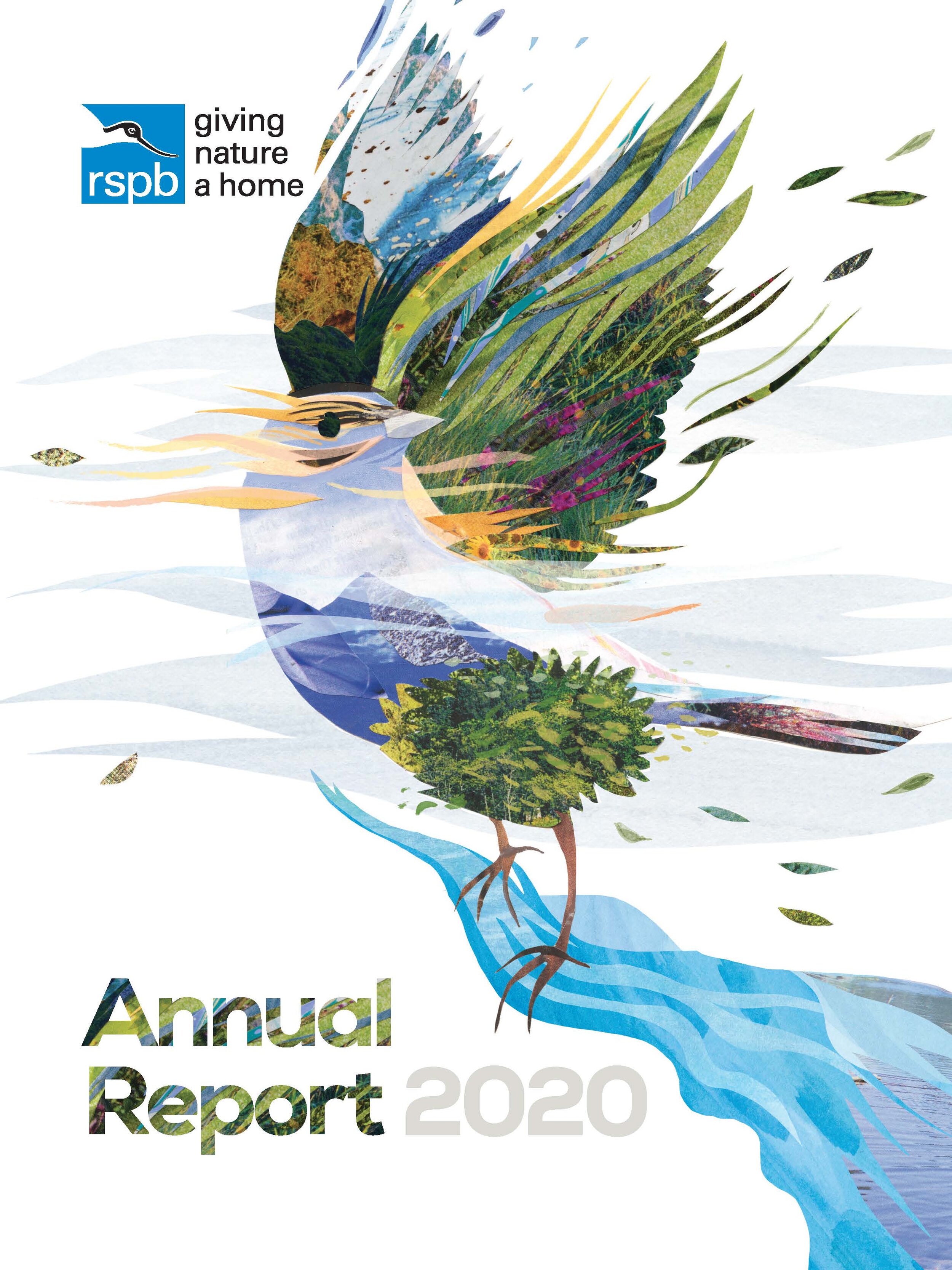 Annual Report Cover for the RSPB