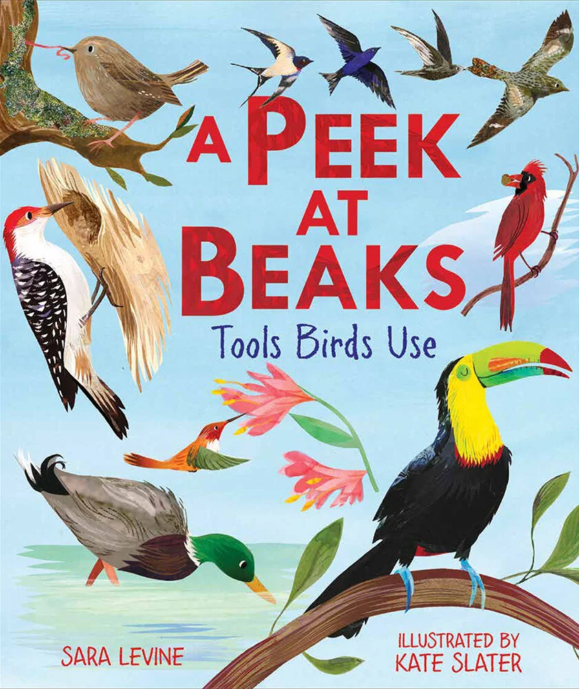 A Peak At Beaks, Millbrook Press (September 2021)