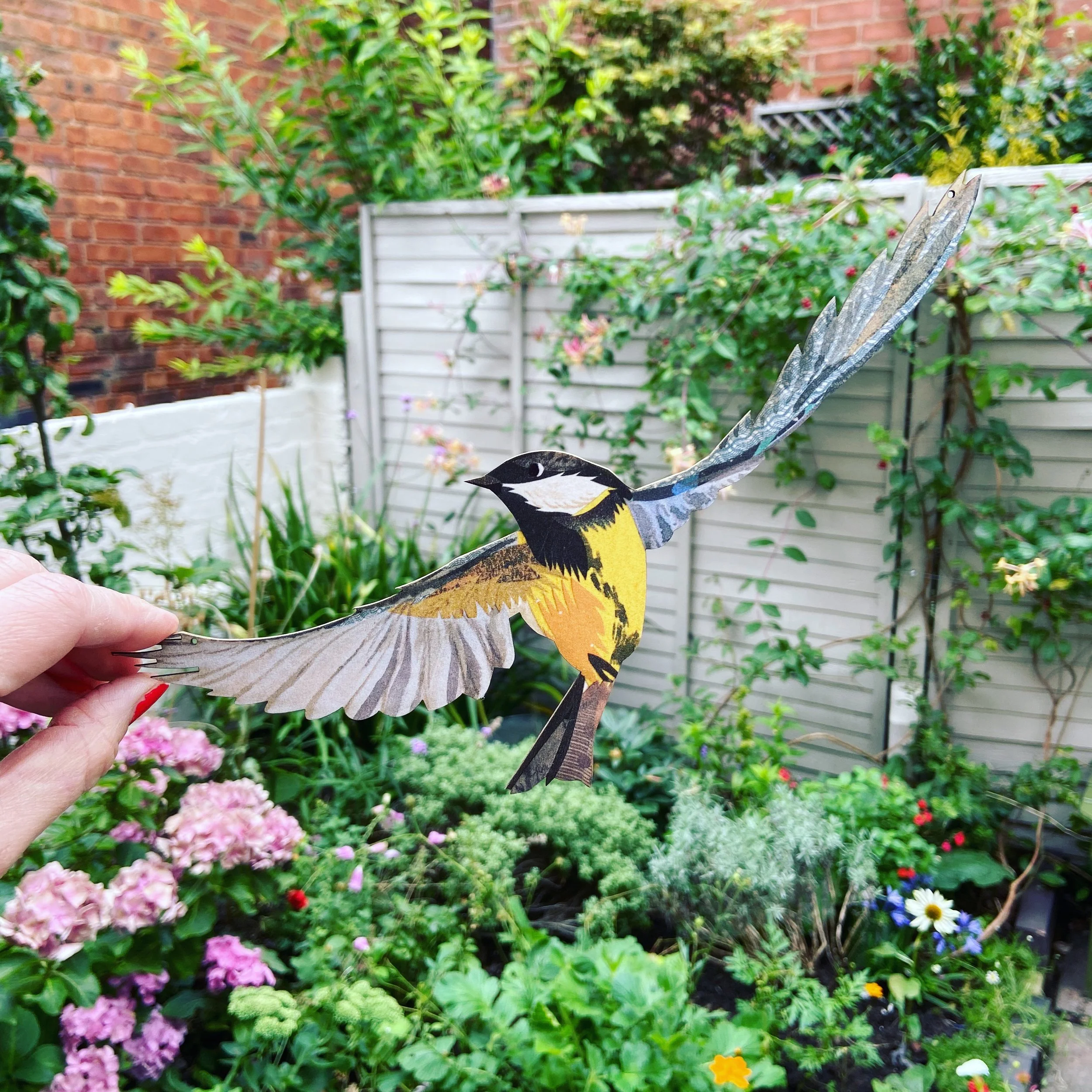 Great tit 2.JPG
