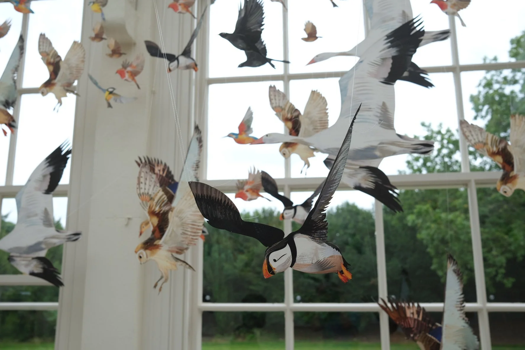 Flock 10.JPG