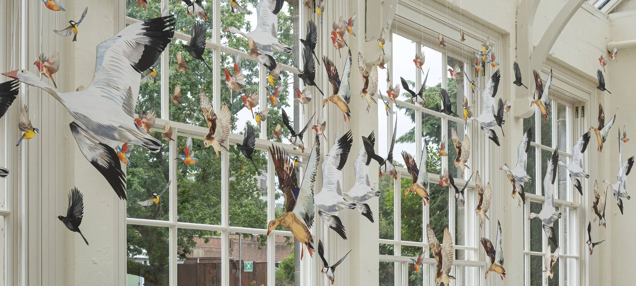 Flock (Phil 2).JPG