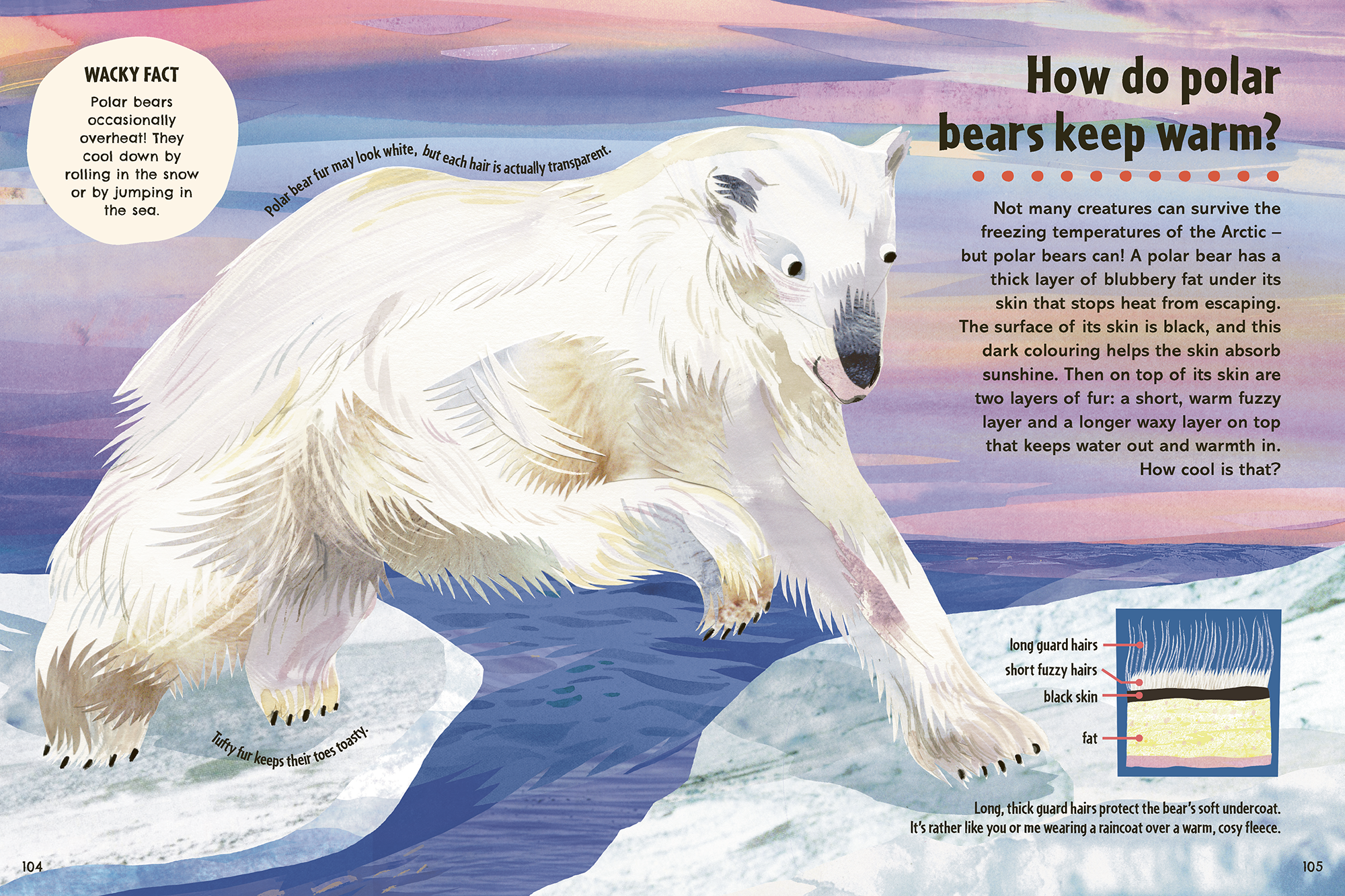Book_of_How_Polar_Bear_Kate_Slater.png