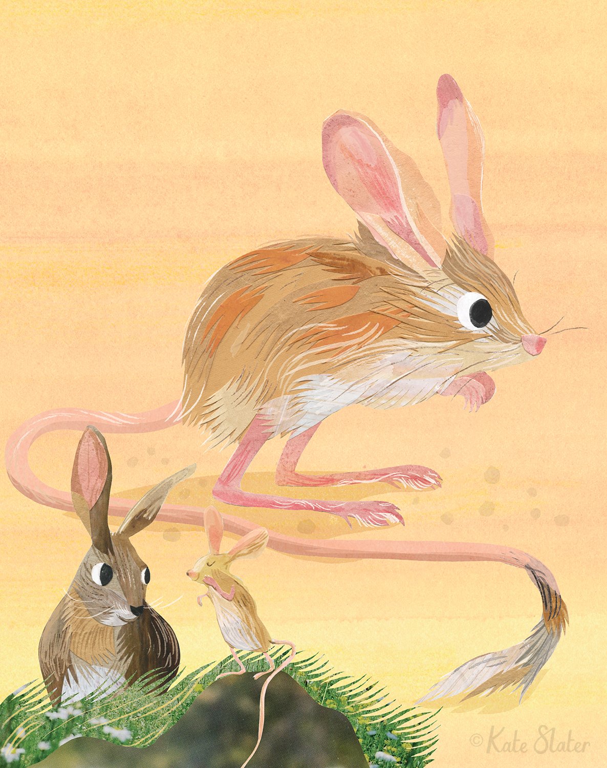 Jerboa Mouse Creature Feature - Ranger Rick Magazine