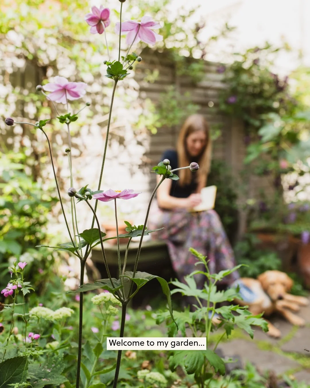 Welcome to my garden! It&rsquo;s been a labour of love, lots of fun and comfort. My muddy fingered therapy, the place where I eat whenever the sun is out, where I dream and dig and watch blue tits eating greenfly and hang out washing and try to grow 