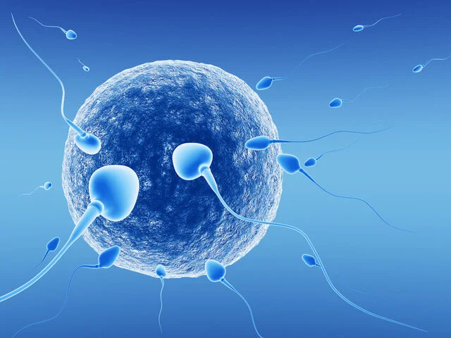 Male Fertility Testing: At-Home Semen Analysis