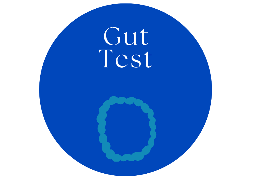 GI-MAP Test + Mediator Release Test (MRT) Food Sensitivity Test