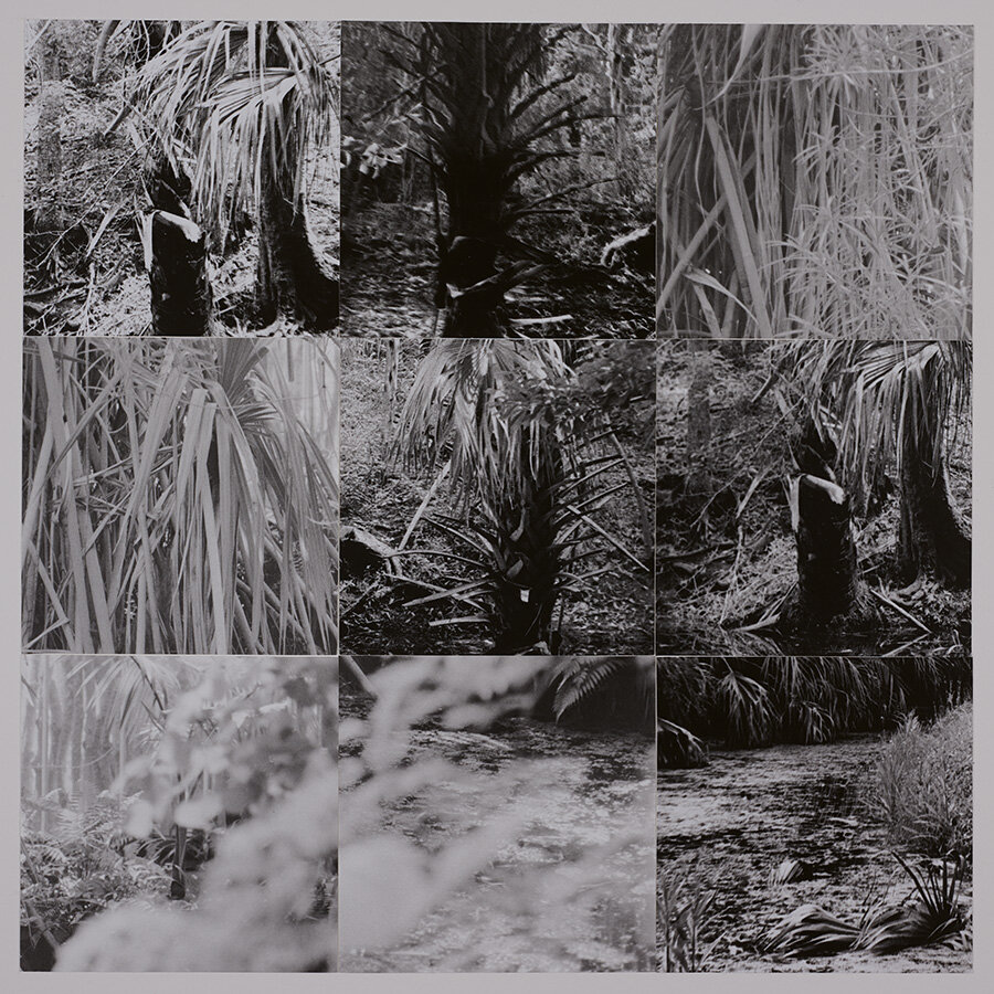 Palms_05.jpg