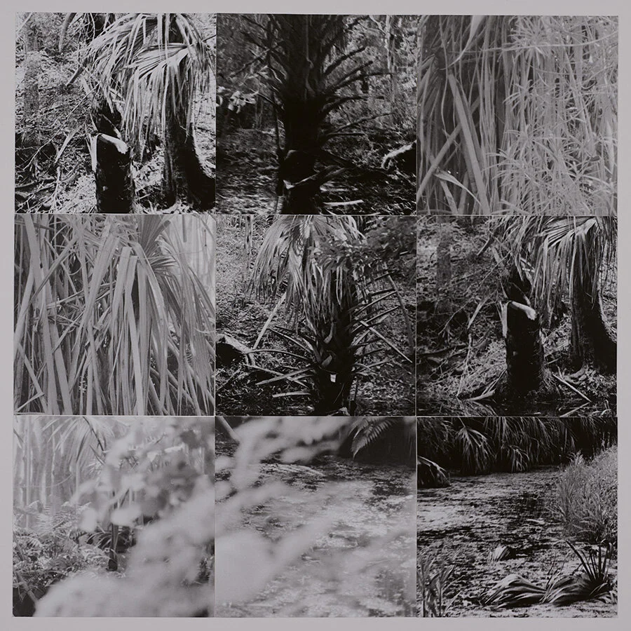 Palms_05.jpg