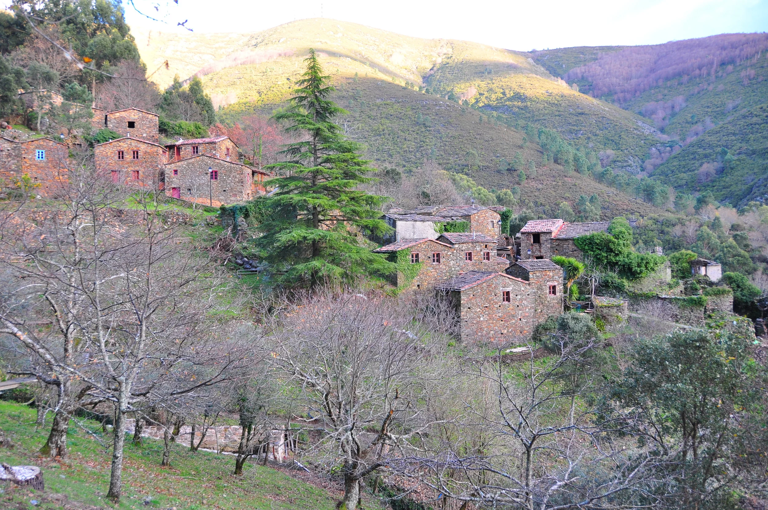 Drawing in Nature Workshop