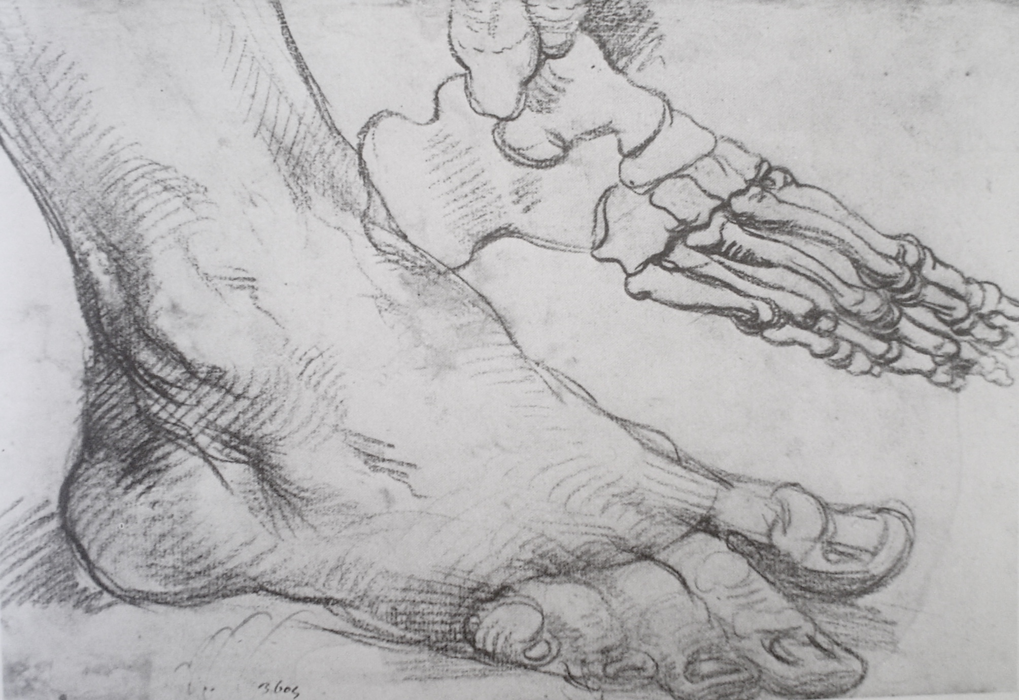 Human Figure Drawing