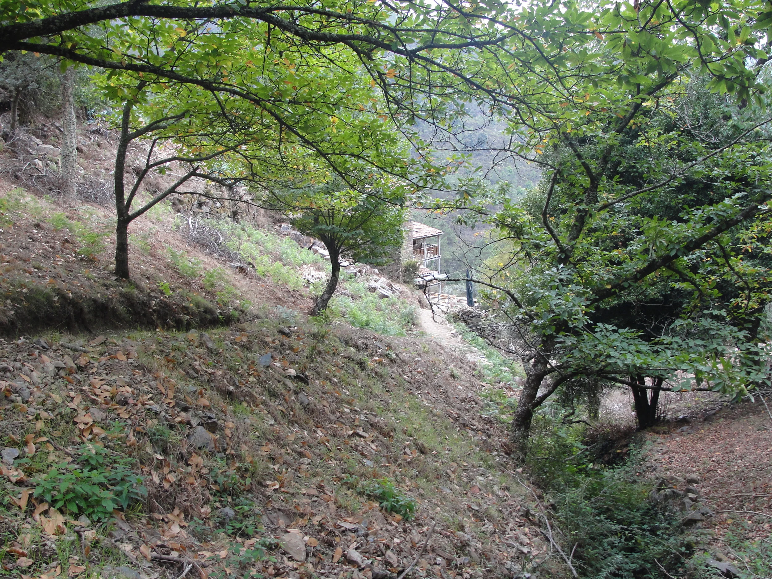 5 Dias de Desenho na Natureza