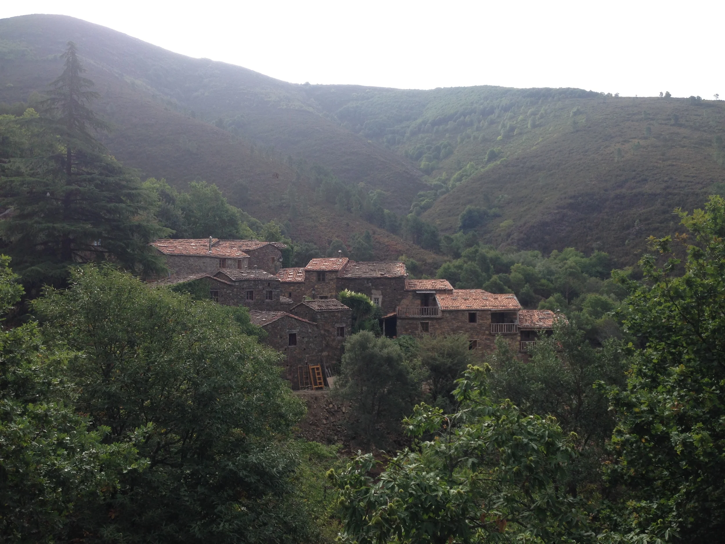 Workshop de Desenho na Natureza