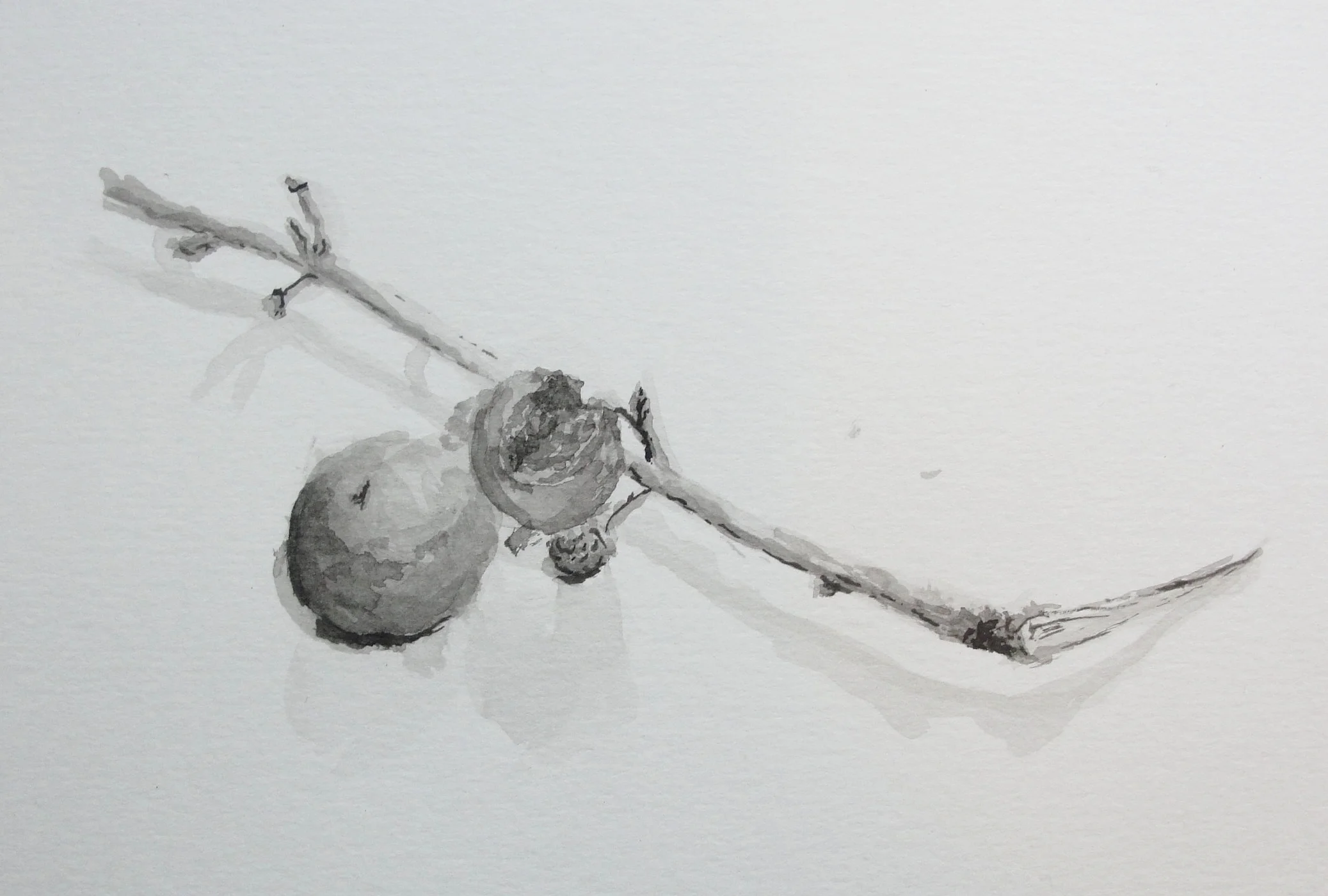 Introdução à Tinta-da-China - Alverca