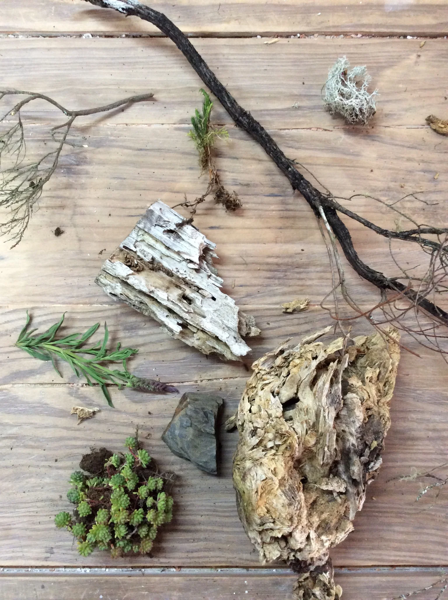 5 Days of Drawing in Nature - Cerdeira