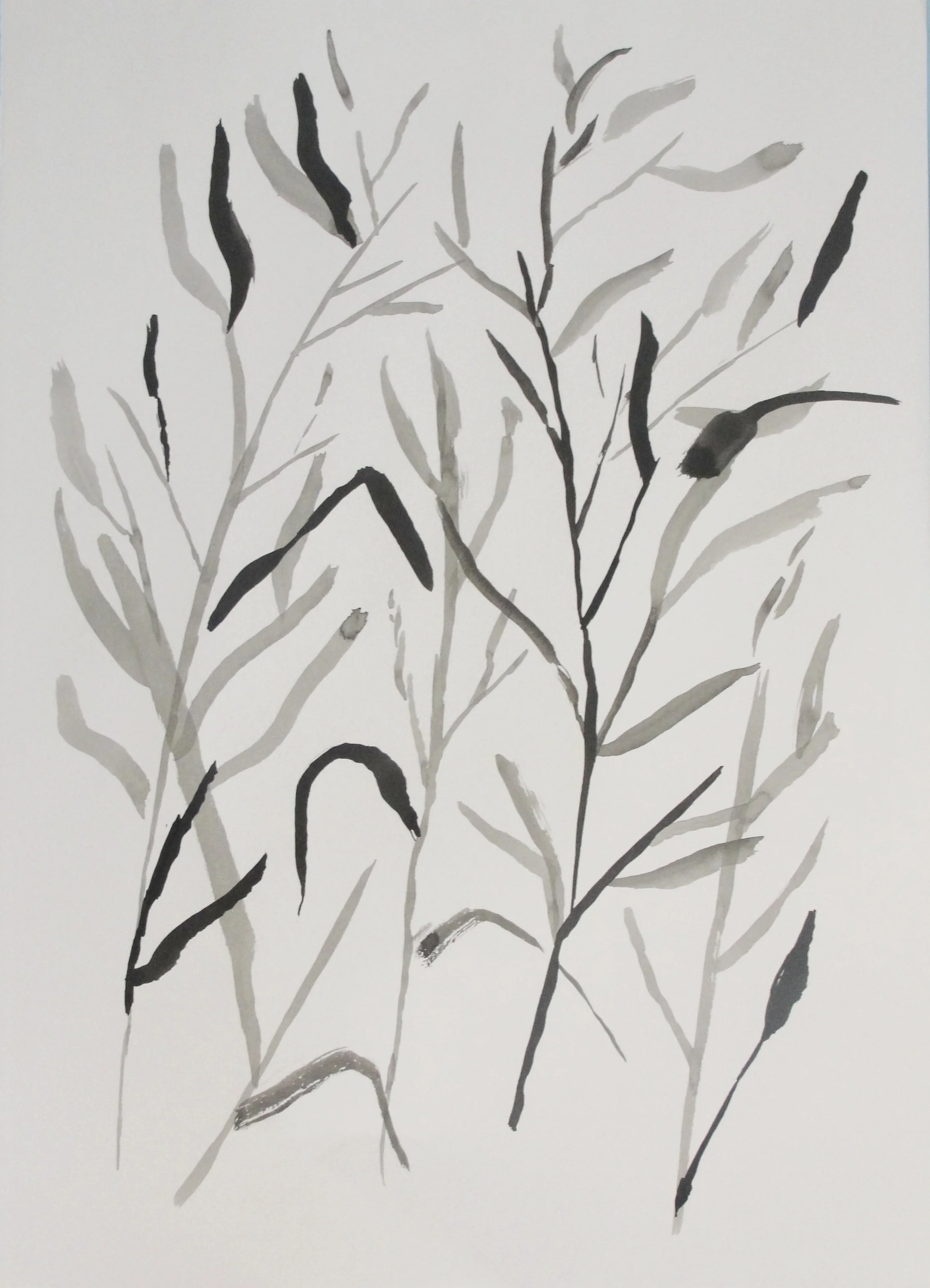 Foundation Ink and Wash