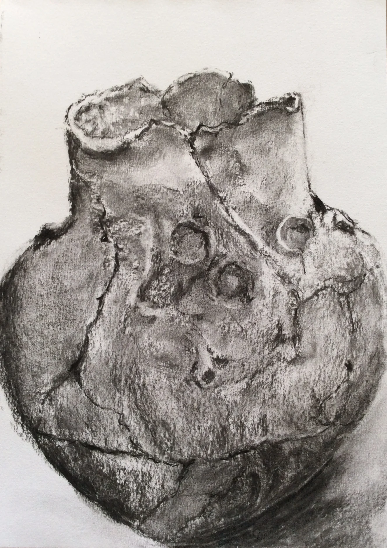 Introdução ao Desenho a Carvão - Alverca