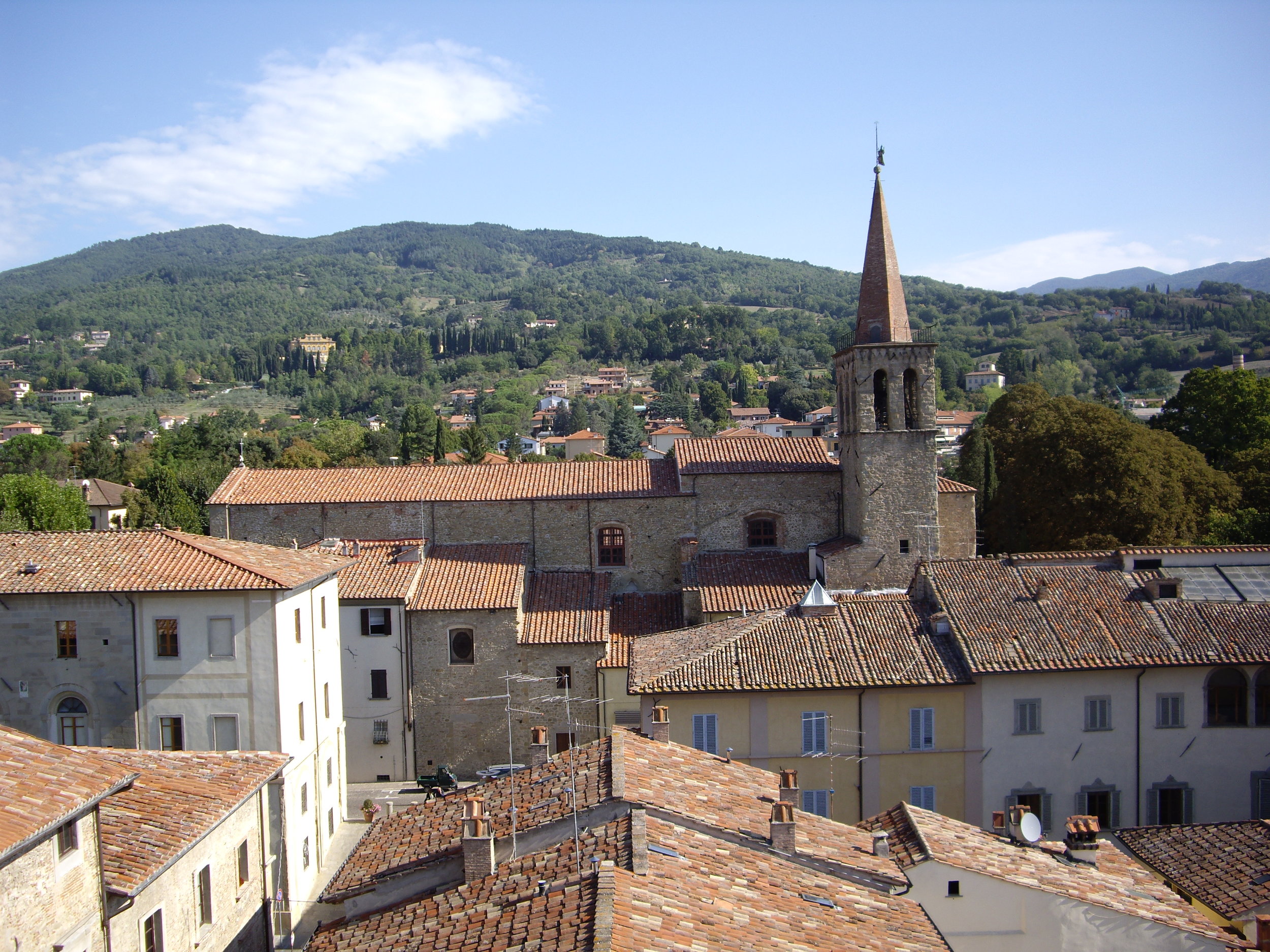 Sansepolcro_roofs_with_church_steeple.jpg