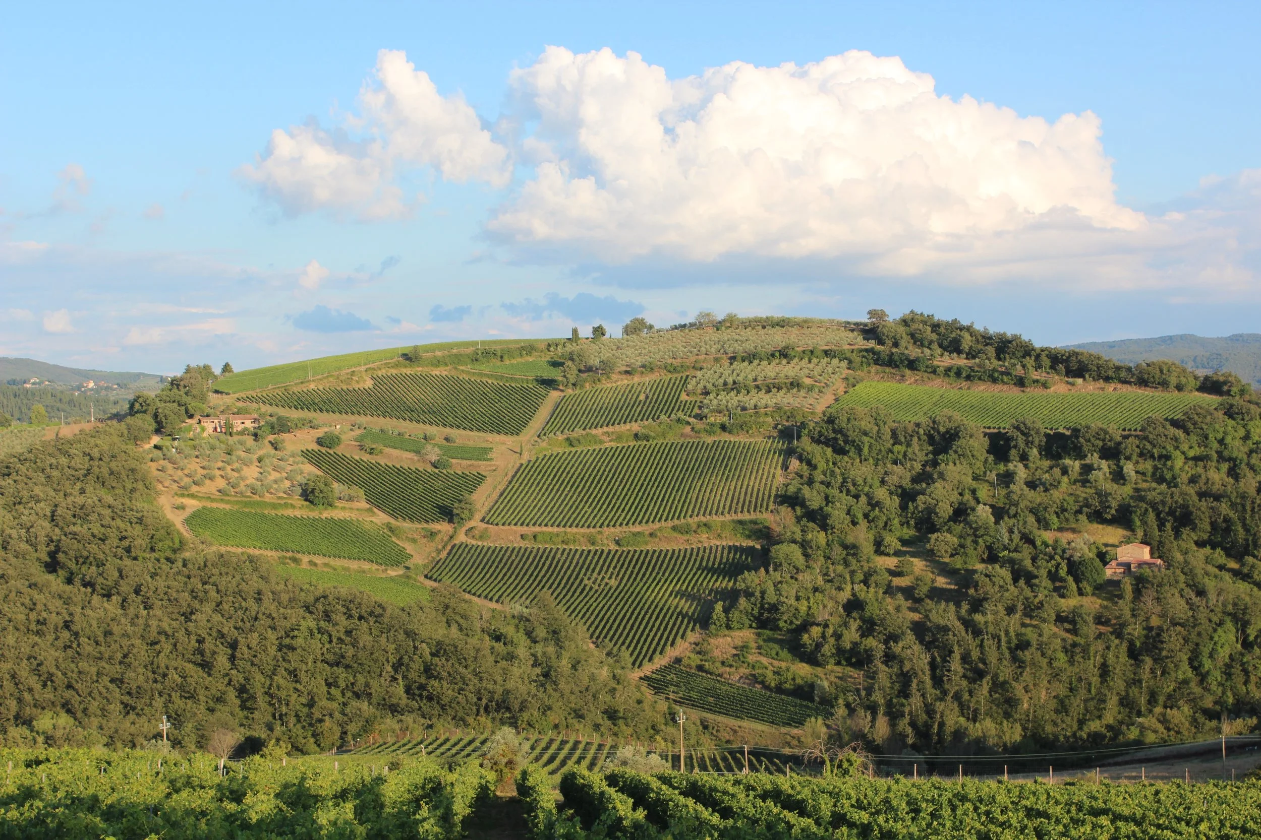 7 Days of Drawing in Tuscany - Italy