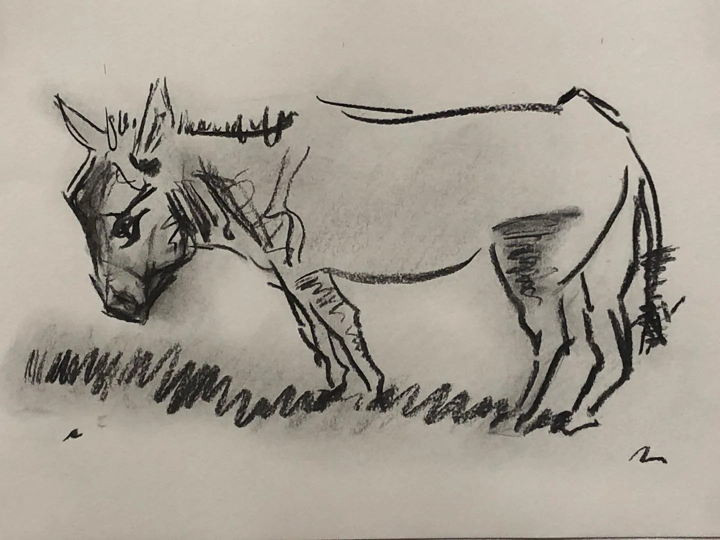 A explorar a sem&acirc;ntica da marca com a turma de inicia&ccedil;&atilde;o ao desenho

#desenho #aulasdedesenho #cursodedesenho #drawing #bodilandpaulo #alvercadoribatejo #vilafrancadexira