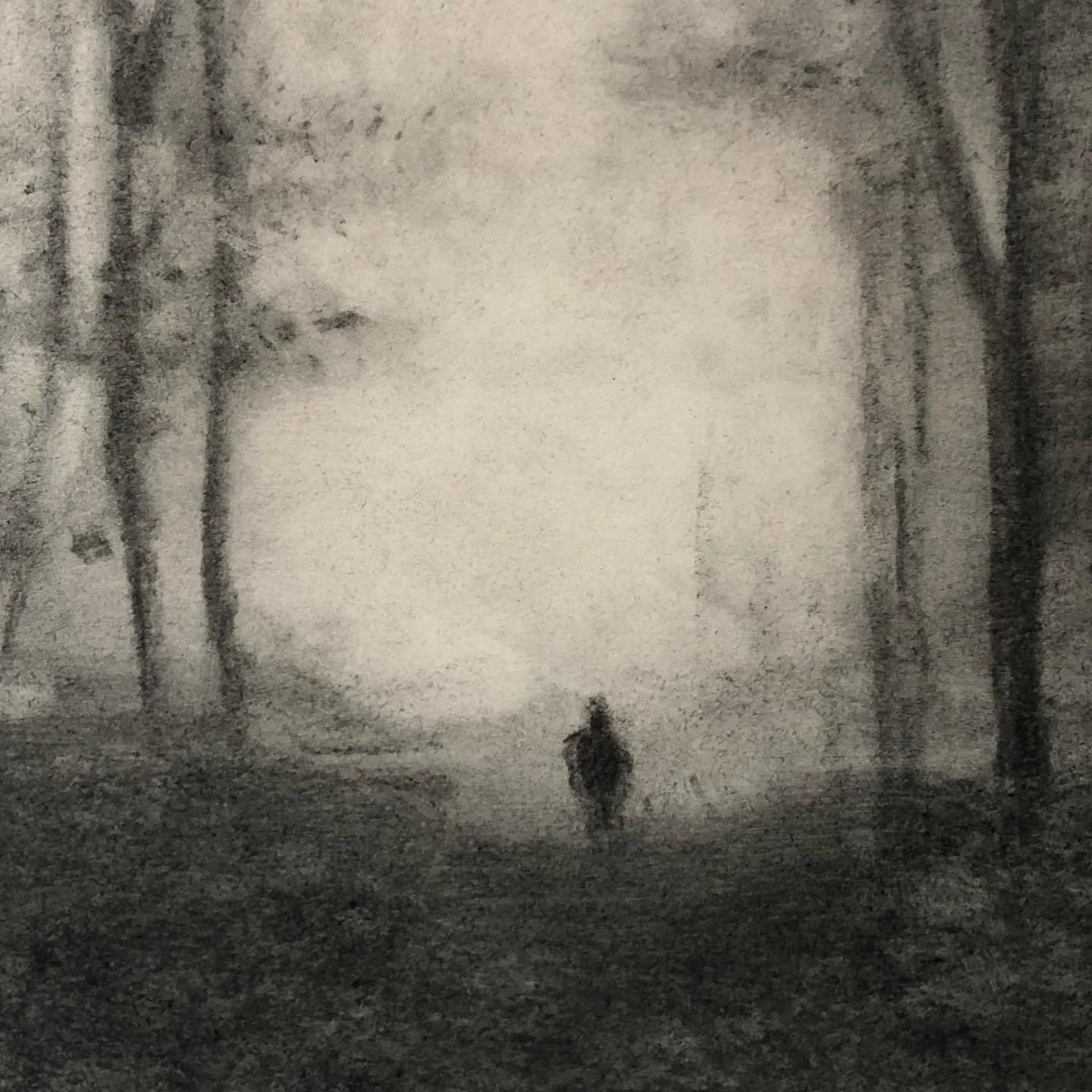 Alguns estudos a carv&atilde;o dos alunos de desenho 

#desenho #desenhoacarv&atilde;o #charcoaldrawings #bodilandpaulo