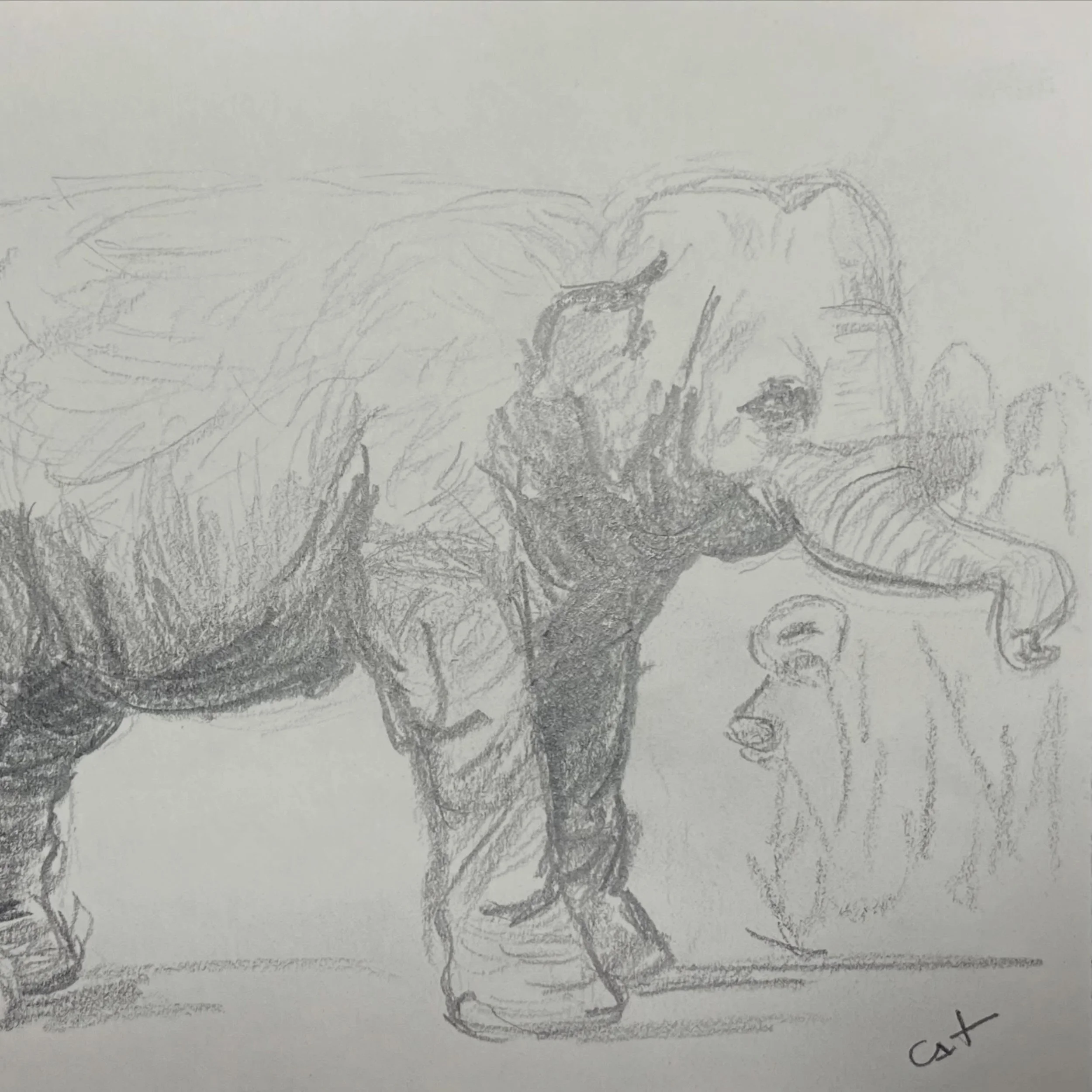 A terminar o ano com a turma de Desenho II.
Ver a quantidade e qualidade do trabalho feito &eacute; sempre um ponto alto!

#desenho #aulasdedesenho #cursodedesenho #alvercadoribatejo