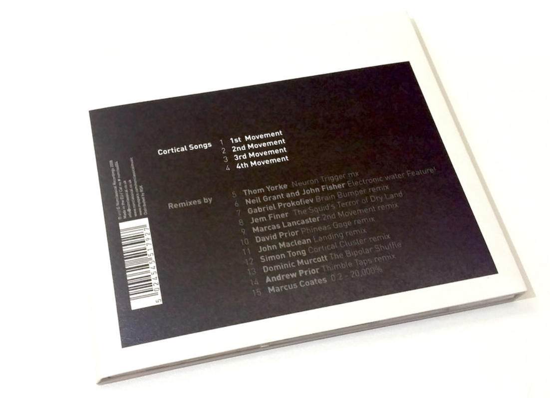 An introduction to Cortical Songs