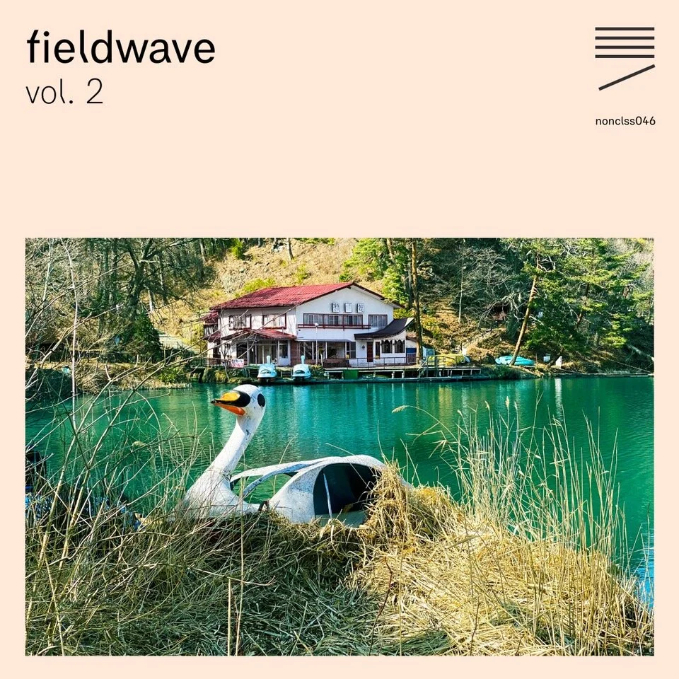 Fieldwave, Vol. 2
