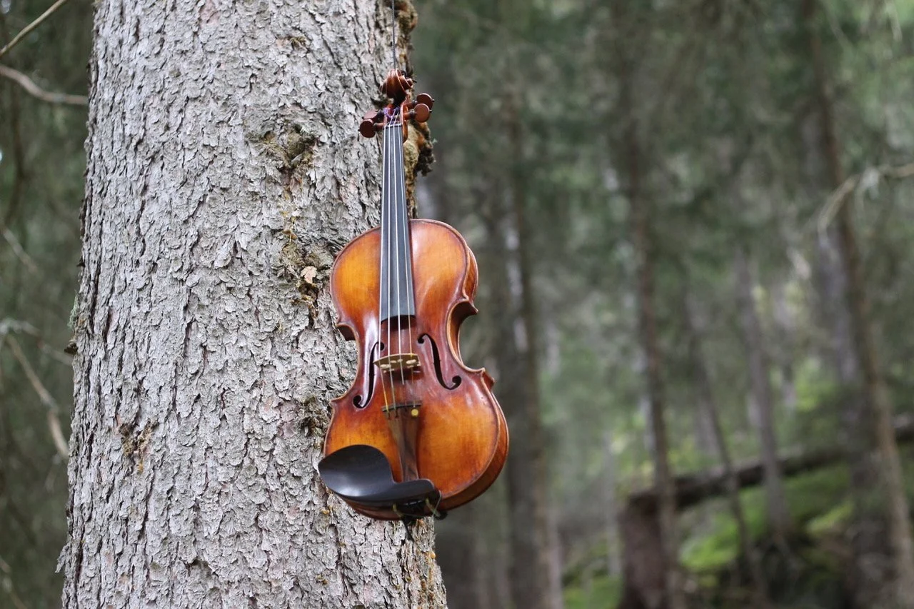 the greenhouse effect