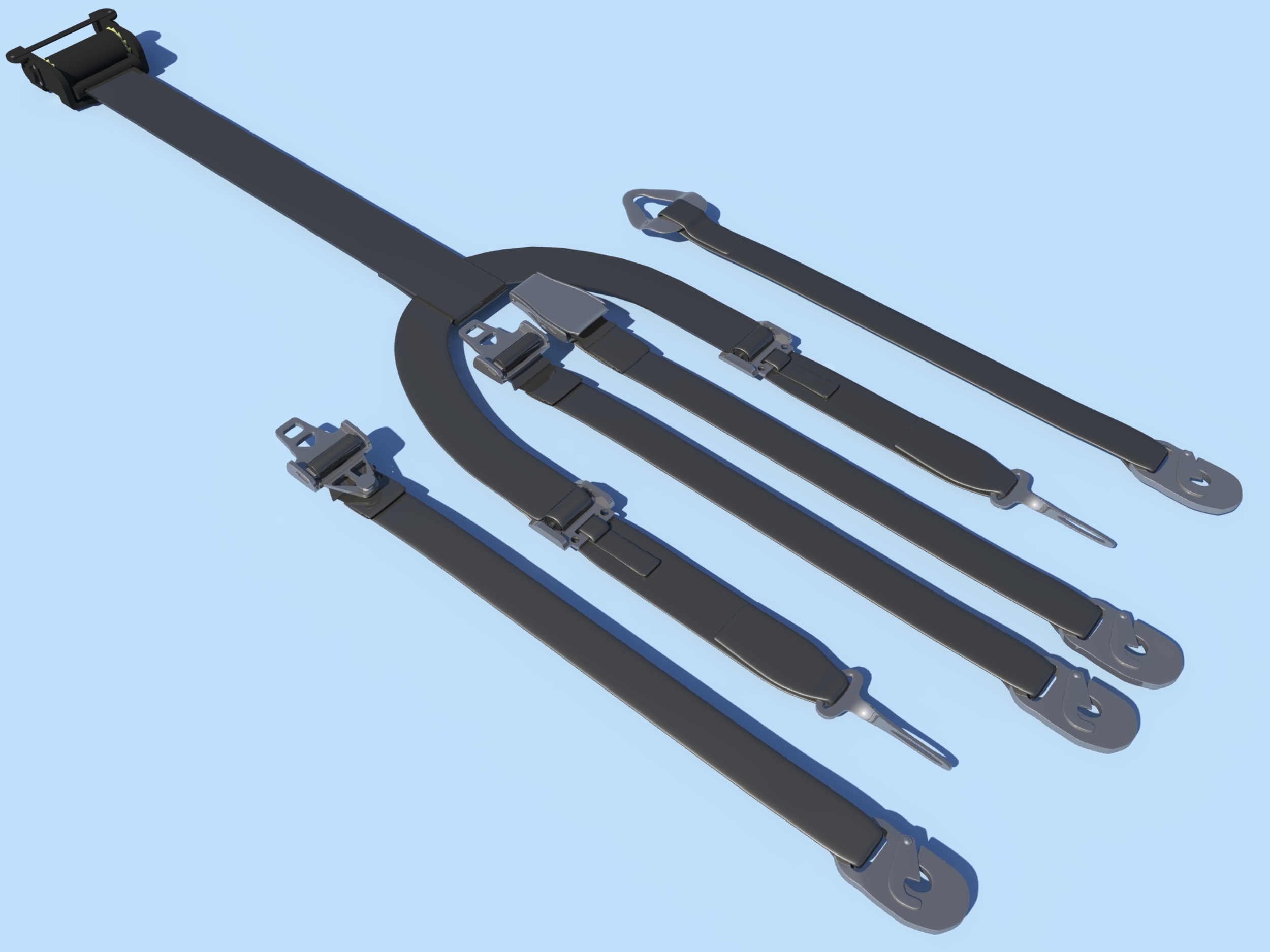 Seat Belt Perspective