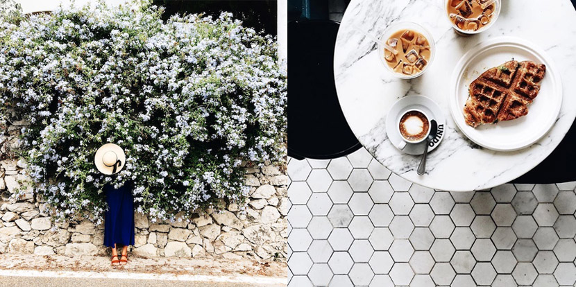 top instagram accounts to follow