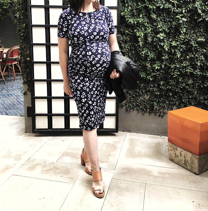 isabella oliver maternity dress parker etc