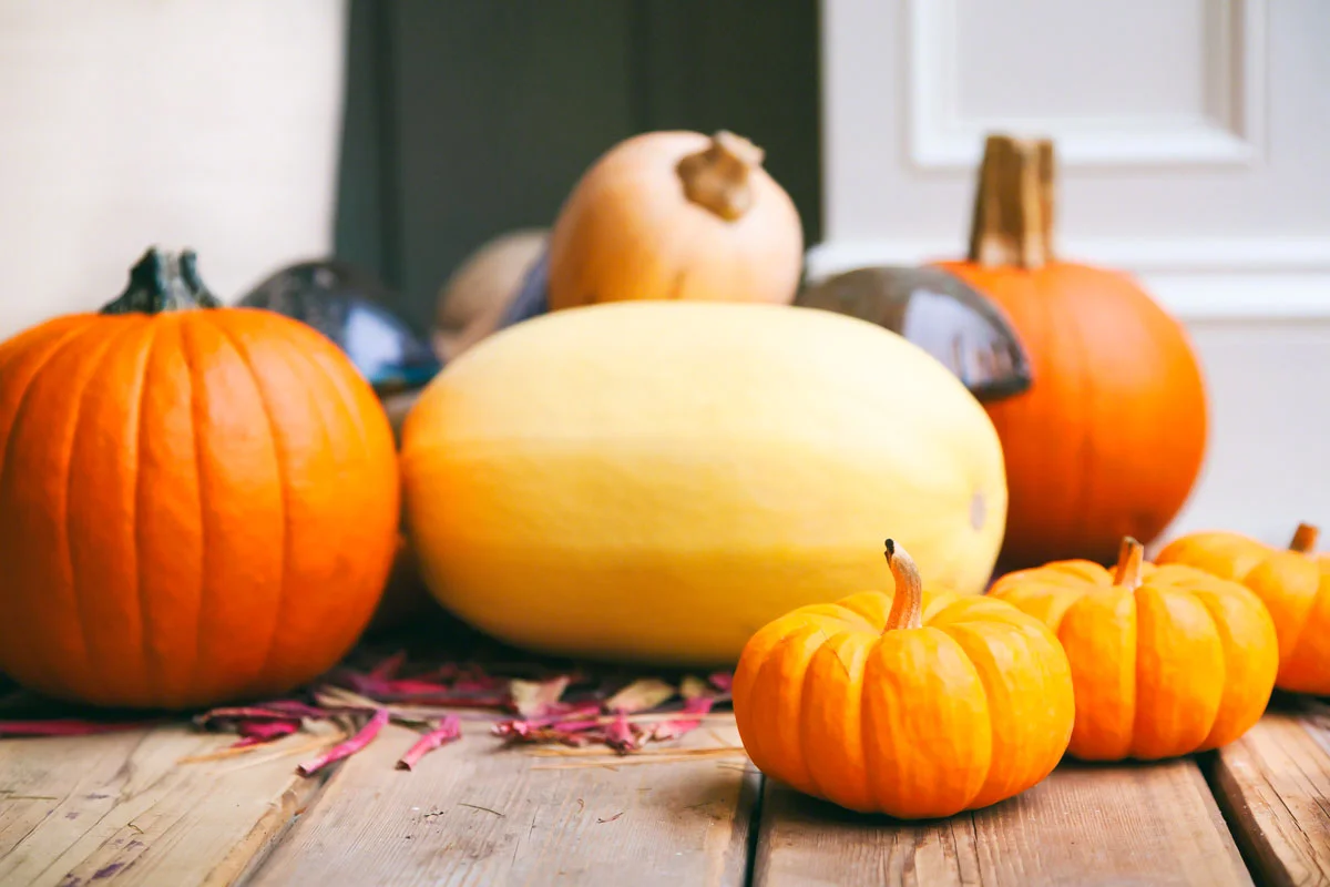 pumpkins-squash-thanksgiving.jpg